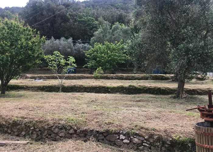 Belvedere Tatil Evi *